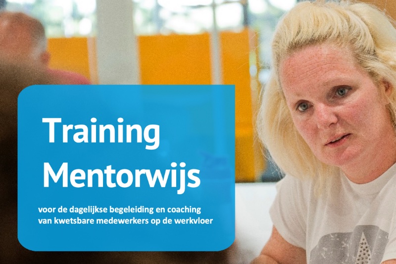 Voorkant training mentorwijs